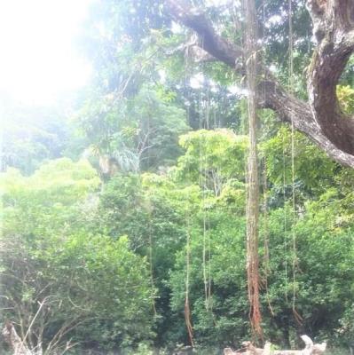 , Terreno en venta en Sorá | P2260118