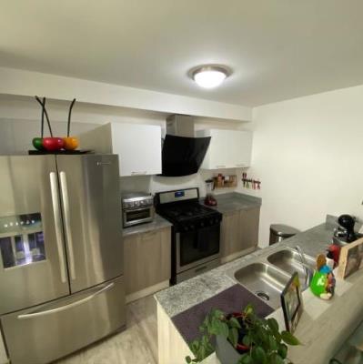 Metropolitan Park, Parque Lefevre