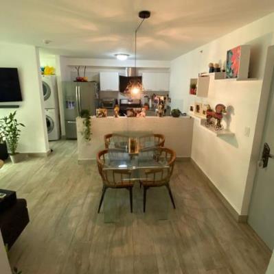 Metropolitan Park, Parque Lefevre