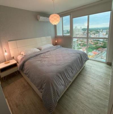 Metropolitan Park, Área Metropolitana