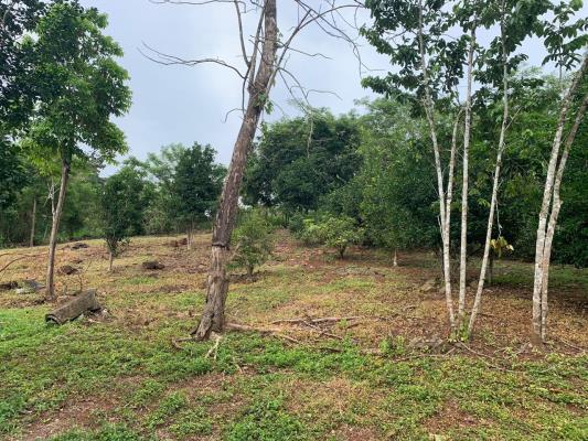 , Terreno en venta en Arraijan | P3134383