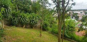 , Casa en alquiler en Pueblo Nuevo | P3136427