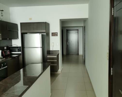 , Área Metropolitana