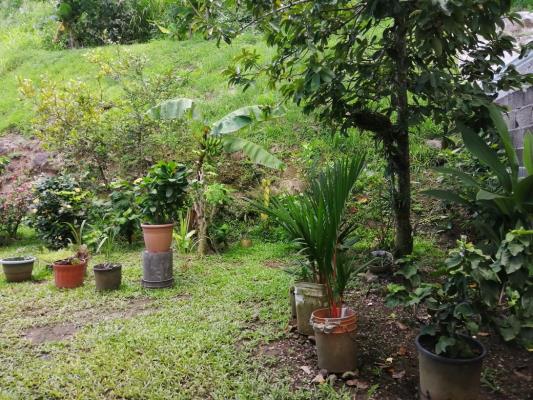 , Casa en alquiler en Rufina Alfaro | P3156503
