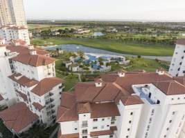 The Reserve Juan Diaz, Panama