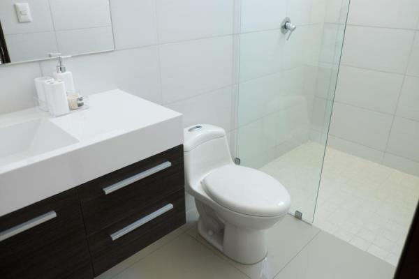 MI CONDADO, Amelia Denis De Icaza