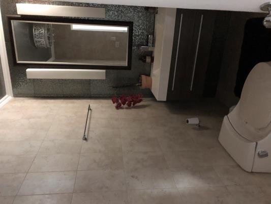 , Área Metropolitana