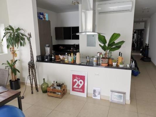 , Área Metropolitana