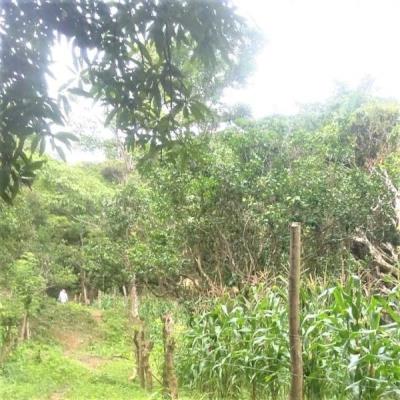 , Terreno en alquiler en Sorá | P3174717