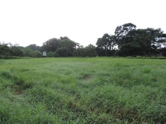 , Terreno en venta en 24 de diciembre | P3178308