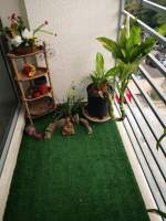 Mateo Iturralde San Miguelito