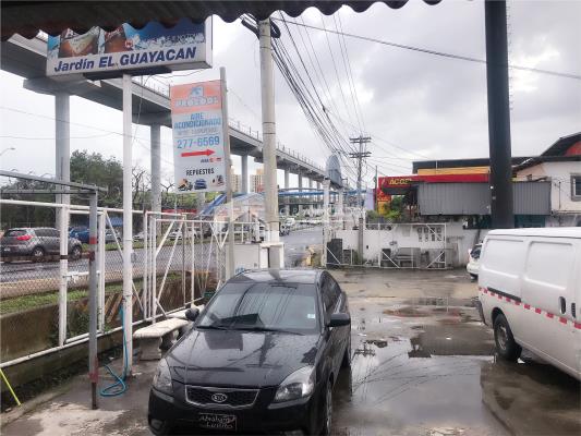 , Terreno en alquiler en Mateo Iturralde | P3195339