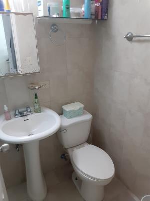 Los Girasoles, Parque Lefevre