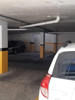 Los Girasoles, Panamá