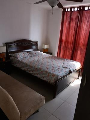 Metric, Área Metropolitana