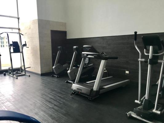 Dupont, Punta Pacifica