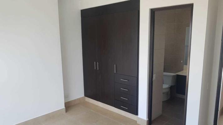 Paramount, Área Metropolitana