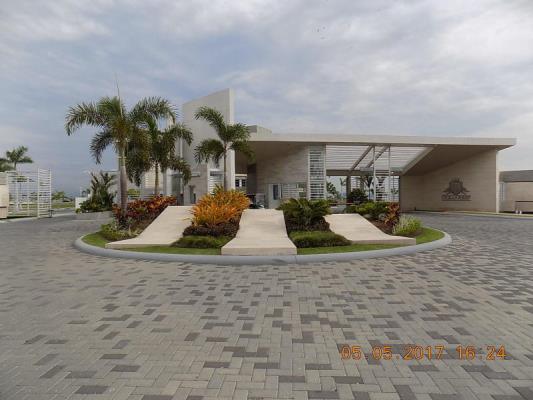 Ocean Reef Island, Punta Pacifica