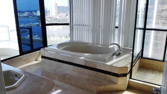 Coral Reef, Avenida Balboa