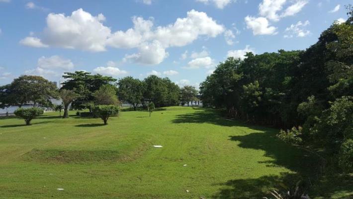 The Belvedere park, Área Metropolitana