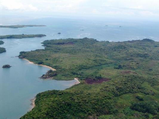 , Lot / Land for sell in Taboga | P3221855