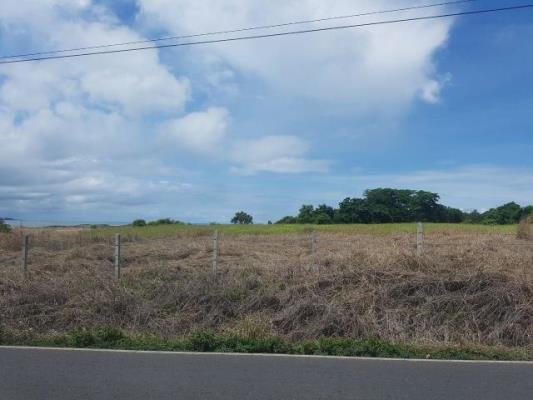, terreno