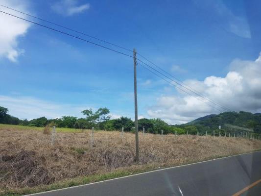 , terreno