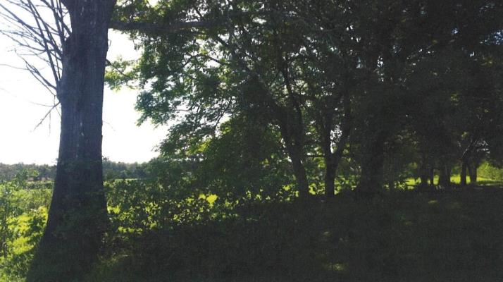 , Terreno en venta en La Villa de Los Santos | P3235624