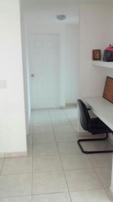 Sunshine by the Park, Área Metropolitana