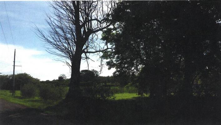 , Terreno en alquiler en Pedasí | P3249897