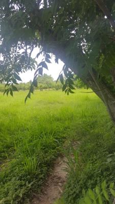 , Terreno en venta en Nueva Gorgona | P3273732