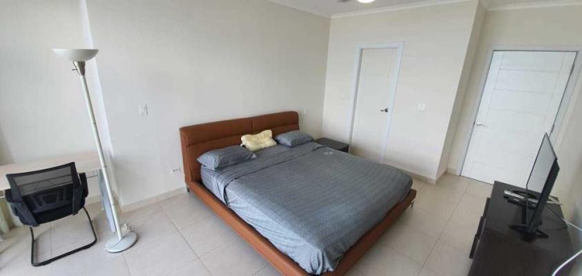 Waters on the bay, Área Metropolitana