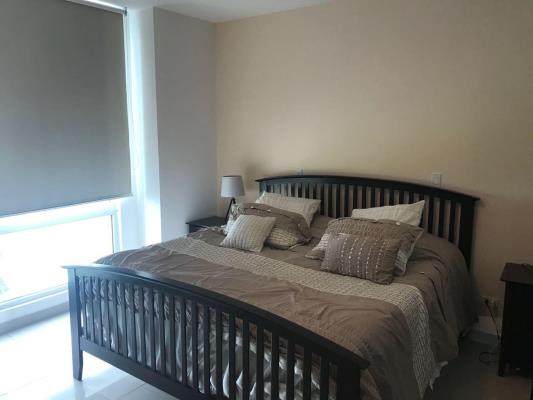 , Área Metropolitana