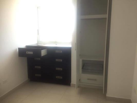 Riverside parque lefevre, Área Metropolitana