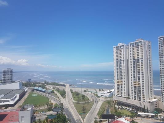 Waterview, Área Metropolitana