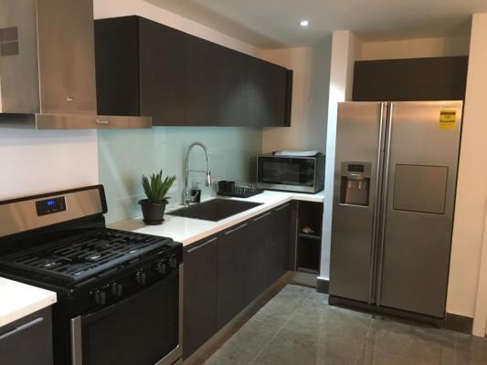 Yoo Panama, Área Metropolitana