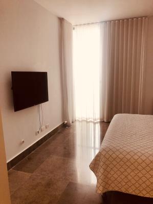 Yoo Panama, Área Metropolitana