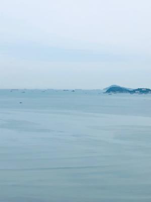 Yoo Panama, Área Metropolitana