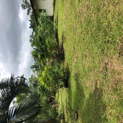 La Gloria, Nuevo Emperador , casa