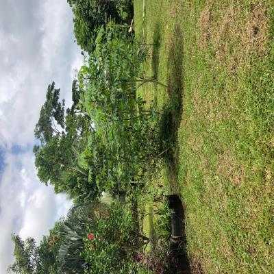 La Gloria, Nuevo Emperador , Casa en venta en Nuevo Emperador | La Gloria, Nuevo Emperador  -  P3327247