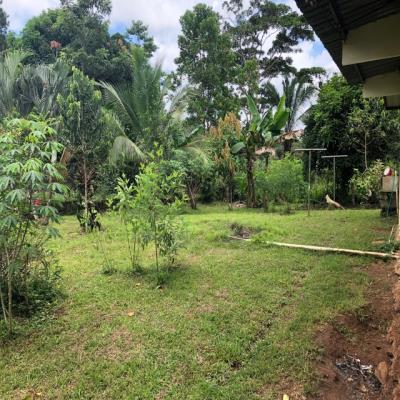 La Gloria, Nuevo Emperador , Arraiján