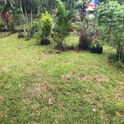 La Gloria, Nuevo Emperador , Arraiján