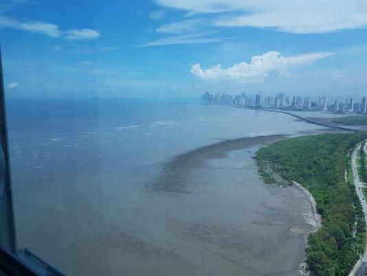 , Área Metropolitana