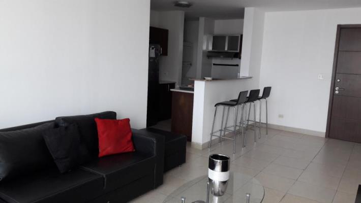 Oasis Tower, Área Metropolitana