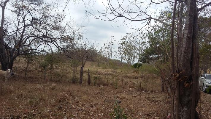 , Terreno en alquiler en Guadalupe | P3387895