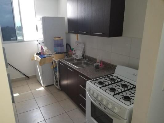 , Apartamento en alquiler en Parque Lefevre | P3388042