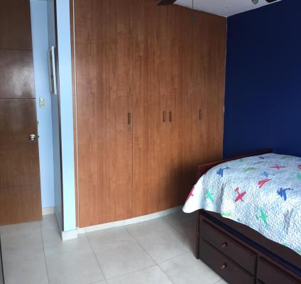 Terrawind, San Francisco