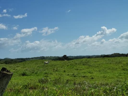 , Terreno en venta en Mendoza | P3399081