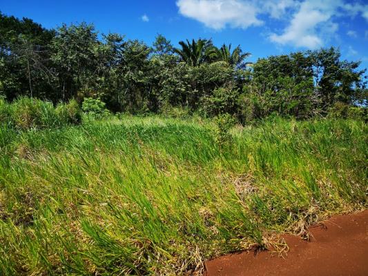 , Terreno en venta en Herrera | P3399088