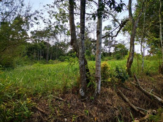 , Terreno en venta en Herrera | P3399095